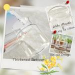 Large Clear Glass Flower Vase for Home Decor