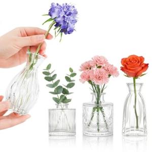 Set of 4 Glass Bud Vases in Various Sizes