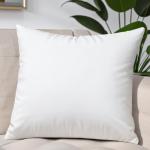 JIEITIVE Hypoallergenic Throw Pillow Insert 18x18