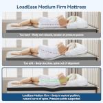 LoadEase 12-Inch King Mattress for Back Pain Relief