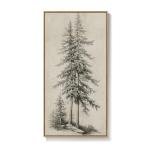 Vintage Tree Wall Art - Rustic Pine Framed Print