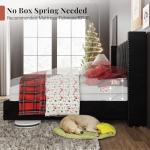 Queen Size Velvet Upholstered Platform Bed Frame