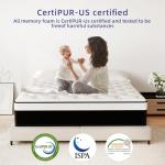 VERHOPE 12 Inch Queen Hybrid Mattress with Memory Foam