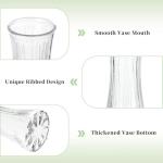 Clear Glass Vase for Home Decor - 7.5" Tall