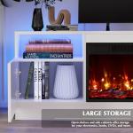 Lemberi Modern Fireplace TV Stand with Storage