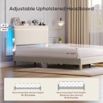 Beige Adjustable Queen Bed Frame with LED Lighting