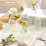 32-Piece Clear Mini Bud Vase Set