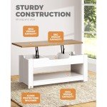 Lift-Top Wooden Coffee Table with Hidden Storage