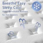 Volantica 12 Inch Memory Foam Hybrid Mattress