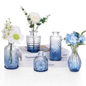 5-Piece Blue Glass Bud Vase Set for Decor