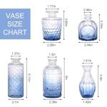 5-Piece Blue Glass Bud Vase Set for Decor