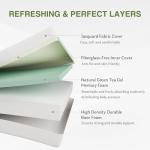 EGOHOME 12-Inch Queen Memory Foam Mattress