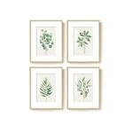 Sage Green Botanical Wall Art Set of 4