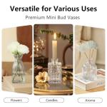 Bulk Set of 22 Clear Glass Bud Vases