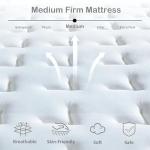 Laccard 10-Inch Medium Firm Queen Mattress