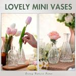 20 Mini Vintage Glass Bud Vases for Flowers