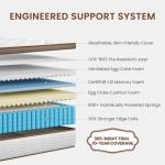 Queen Firm Hybrid Mattress with Spinal Support