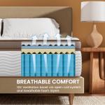 Queen Firm Hybrid Mattress with Spinal Support