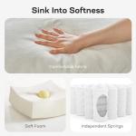 Marsail Full Size Pull-Out Sofa Bed with USB