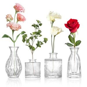 Set of 4 Glass Bud Vases in Various Sizes