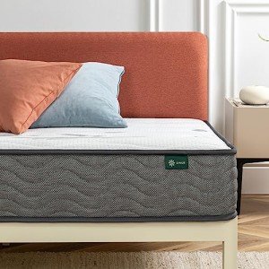 Zinus Queen Pocket iCoil Spring Mattress - Medium Feel