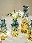 Set of 5 Mini Glass Bud Vases