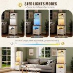 Dystler Farmhouse Nightstand with Charging Station