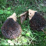 Hedgehog Resin Garden Decoration Statues for Outdoors