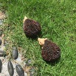 Hedgehog Resin Garden Decoration Statues for Outdoors