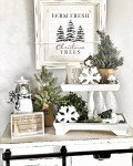 Rustic Two-Tier Wooden Tray for Home Decor