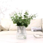 Ribbed Clear Glass Flower Vase - 7.5 Inches