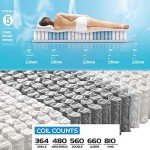 Dreamz Double Mattress with 5-Zone Pocket Springs