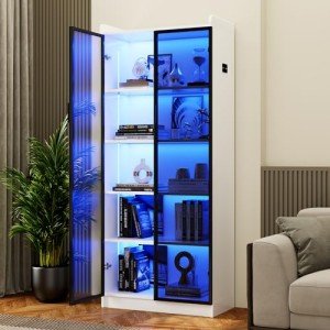 Dystler LED Bookcase with 2 Doors and Adjustable Shelves