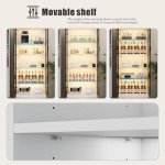 Dystler LED Bookcase with 2 Doors and Adjustable Shelves