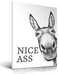Funny Donkey Wall Art for Bathroom Decor