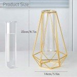 Gold Frame Glass Test Tube Vases for Decor