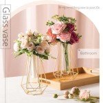 Gold Frame Glass Test Tube Vases for Decor