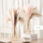 Gold Frame Glass Test Tube Vases for Decor