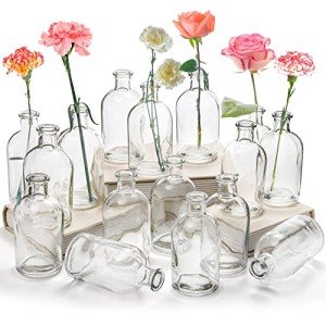 16 Pack Clear Glass Bud Vases for Decor