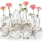 16 Pack Clear Glass Bud Vases for Decor
