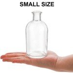 16 Pack Clear Glass Bud Vases for Decor