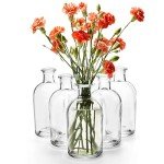 16 Pack Clear Glass Bud Vases for Decor