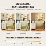 Dystler Makeup Vanity Table with Mirror and Lights