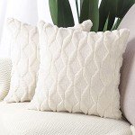 Pack of 2 Soft Velvet Decorative Throw Pillow Covers