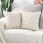 Pack of 2 Soft Velvet Decorative Throw Pillow Covers