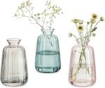 Glass Bud Vases Set of 3 for Home Decor