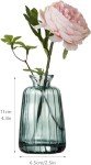Glass Bud Vases Set of 3 for Home Decor