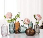 Glass Bud Vases Set of 3 for Home Decor