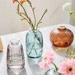 Glass Bud Vases Set of 3 for Home Decor