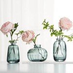 Glass Bud Vases Set of 3 for Home Decor